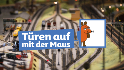 Modellbahn Uwe Niklas 072 MT